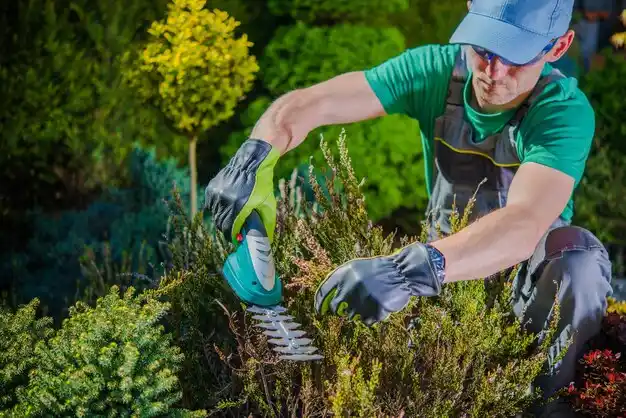 landscaping services Logansport